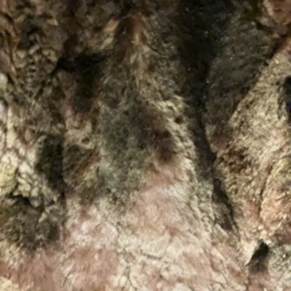 Burdines Vintage Fur Coat - Picture 3 of 6